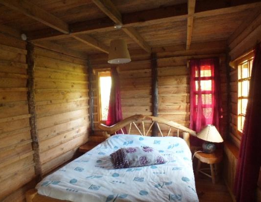 Castle Forest Lodge 2