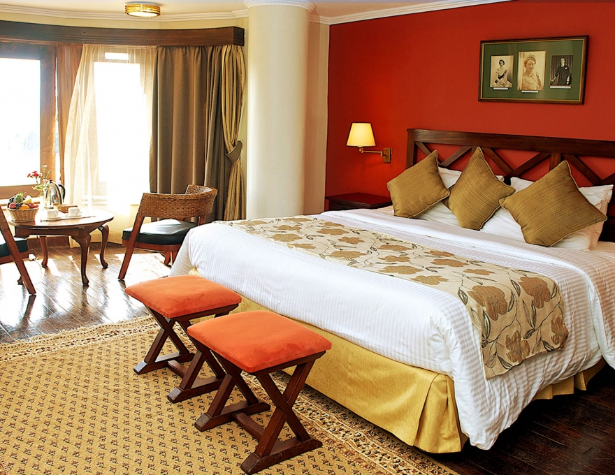Treetops Lodge 2