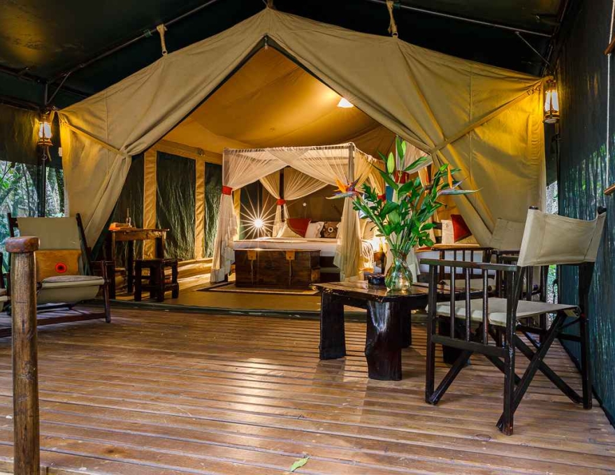 Mara Bush Camp 5