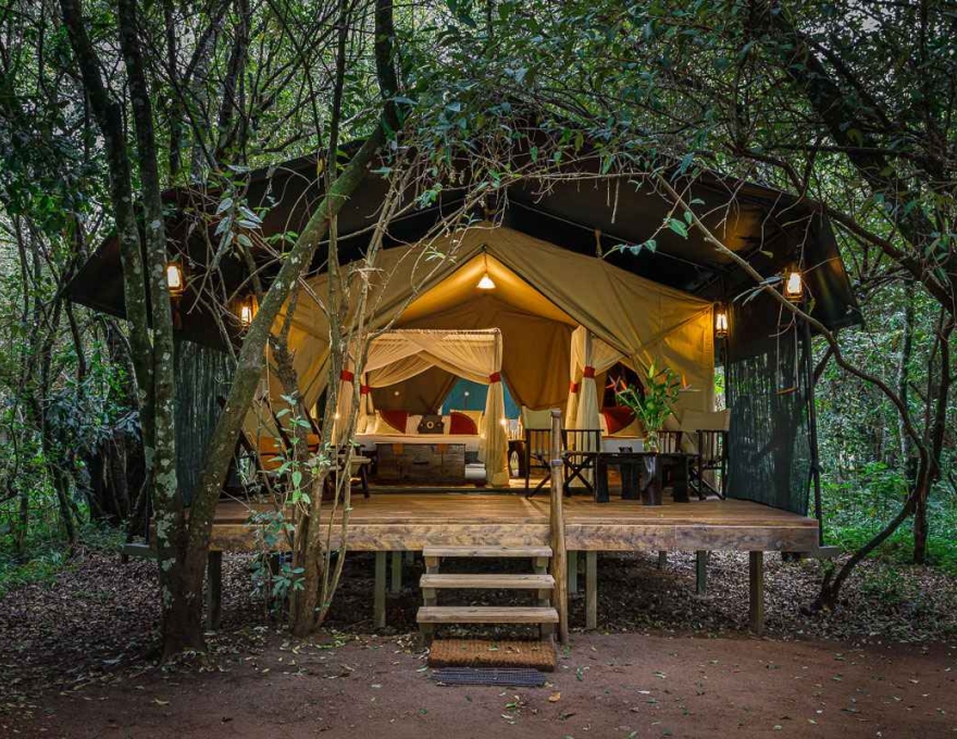 Mara Bush Camp