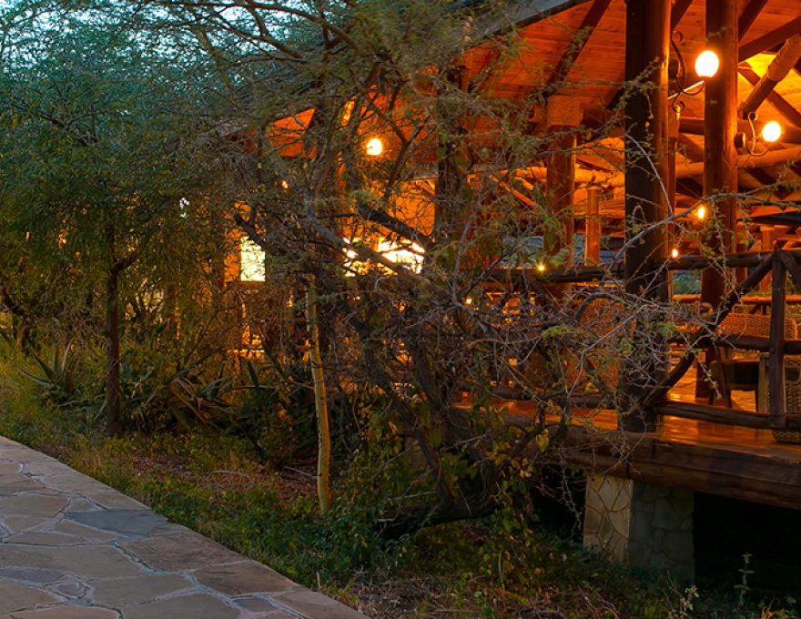 Samburu Simba Lodge 2