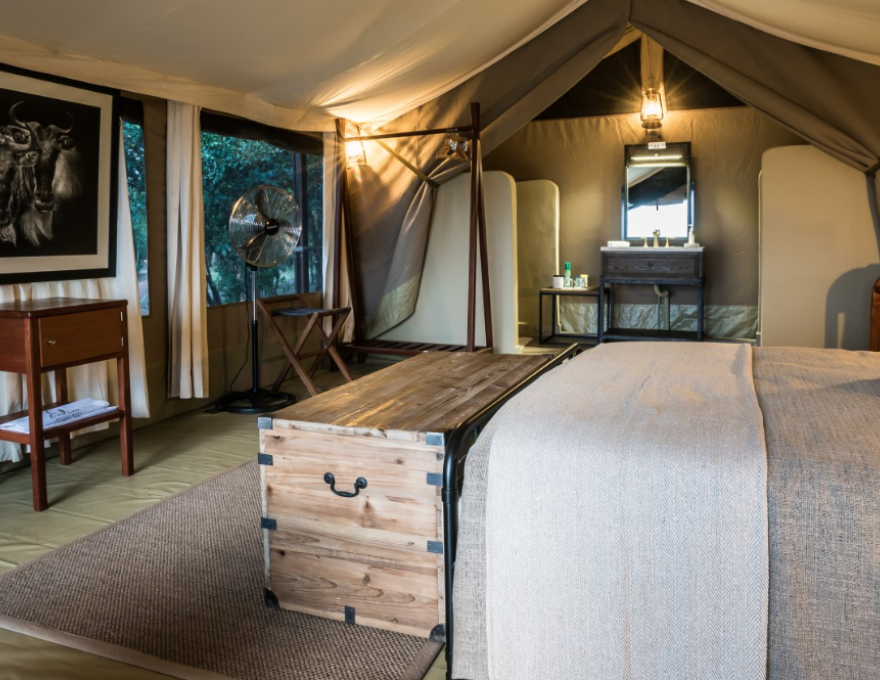 Entim Camp 7