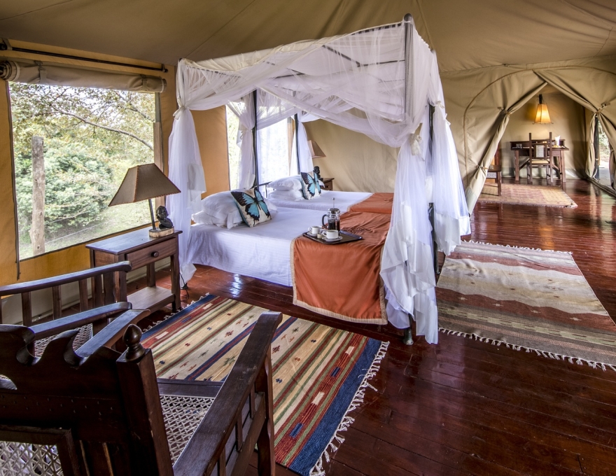 Ashnil Mara Camp 5