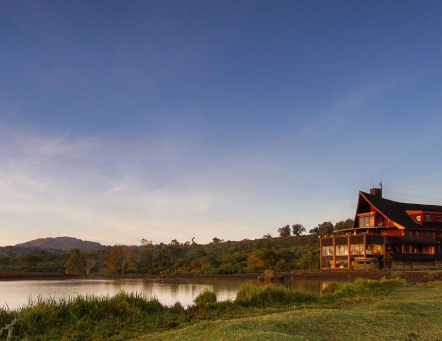 The Ark 3