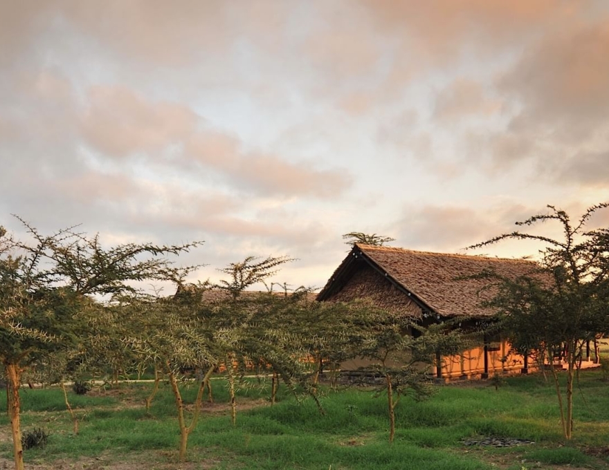 Sweetwaters Serena Safari Camp 3