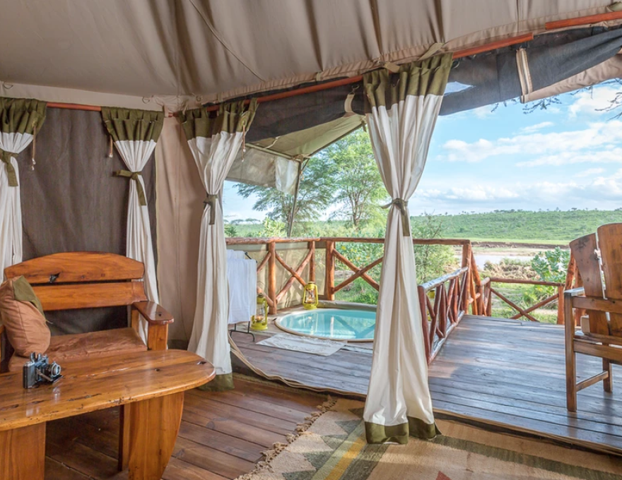 Elephant Bedroom Camp 6