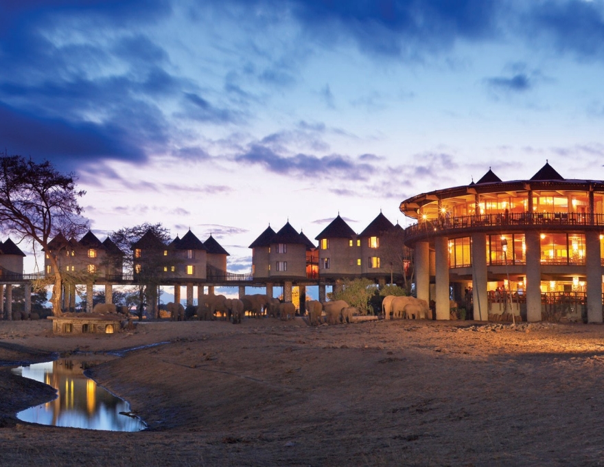 Salt Lick Game Lodge
