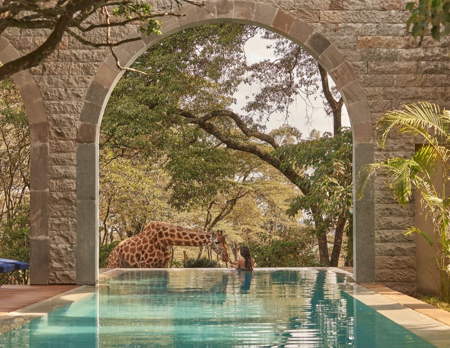 Giraffe Manor 2