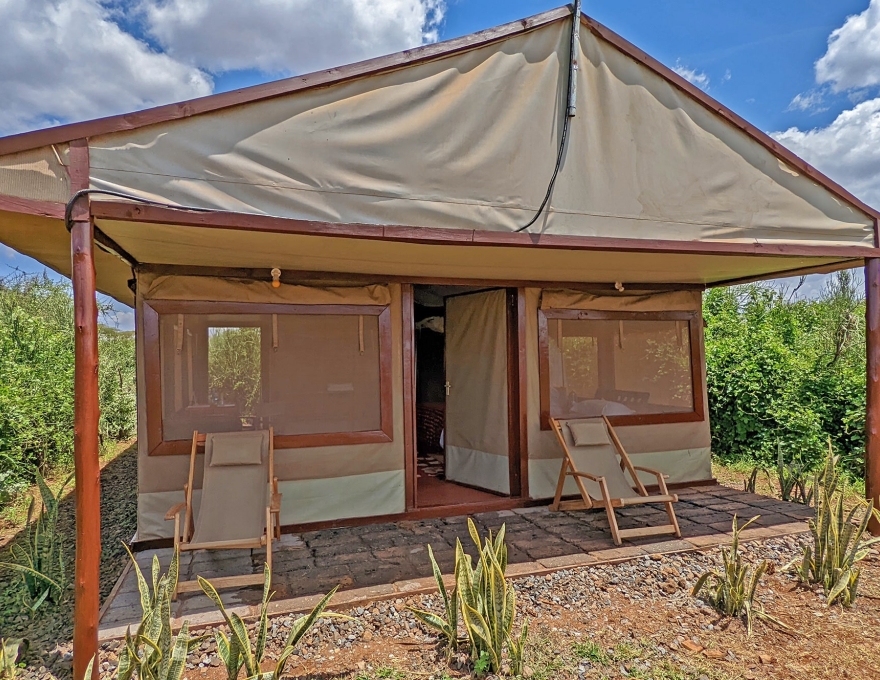 Tulia Amboseli 2