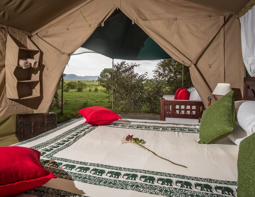 Losokwan Mara Camp 4