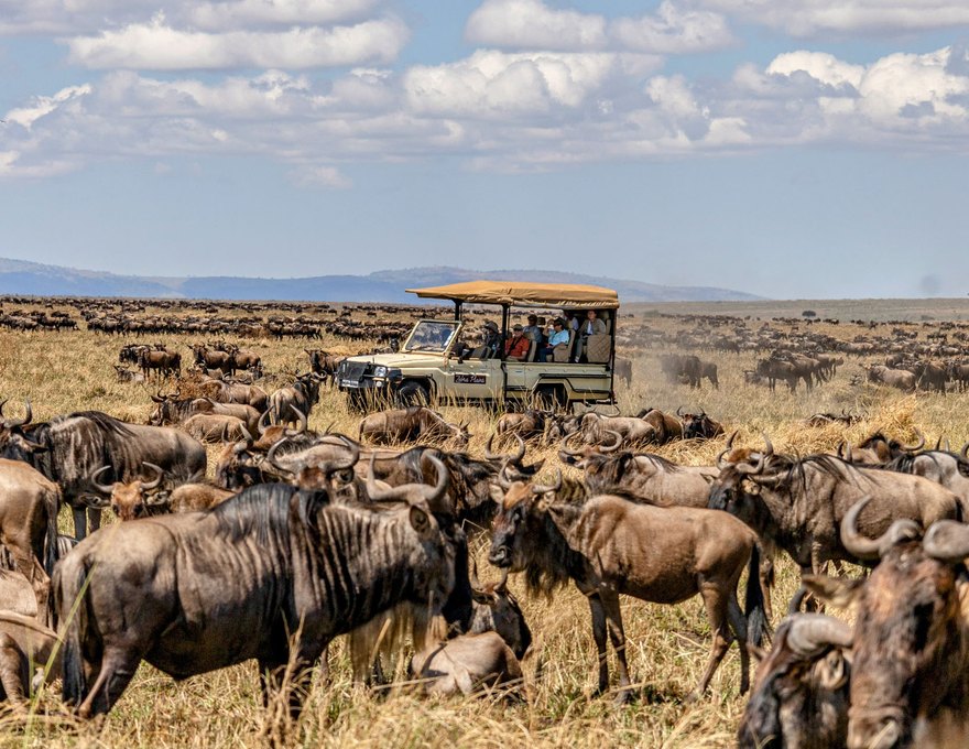 Royal Zebra River Safari Lodge 5