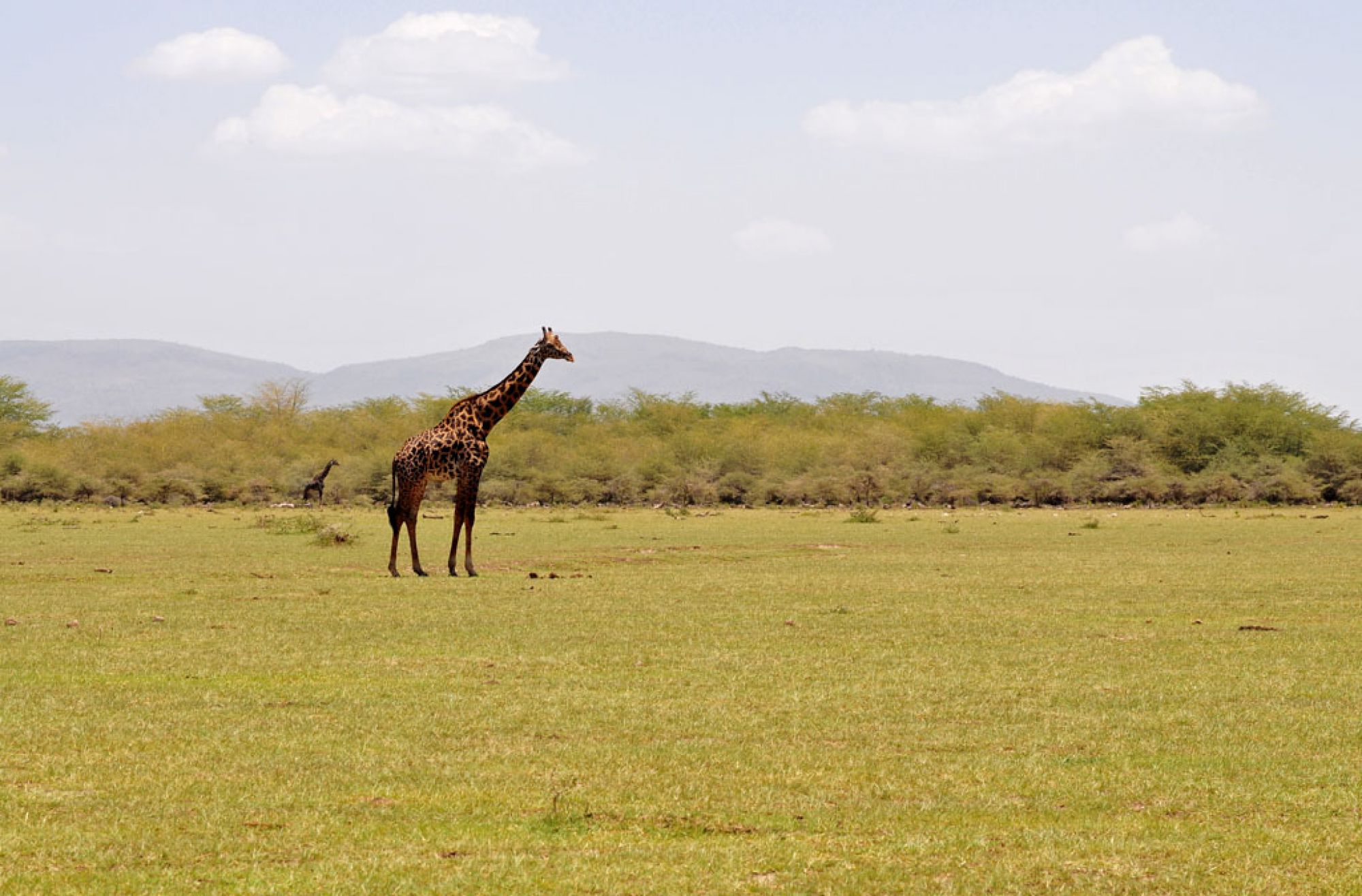 Spirit of Kenya original photograph 2