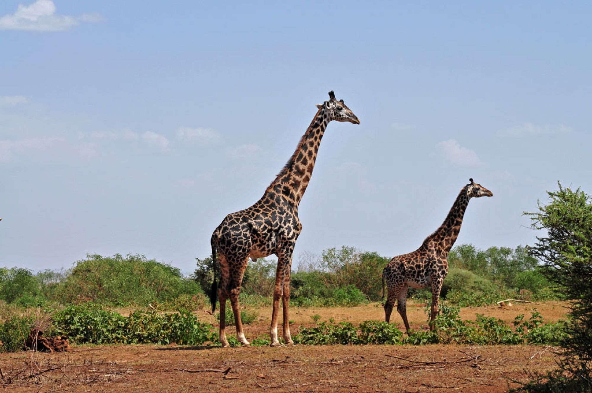 Spirit of Kenya original photograph 3