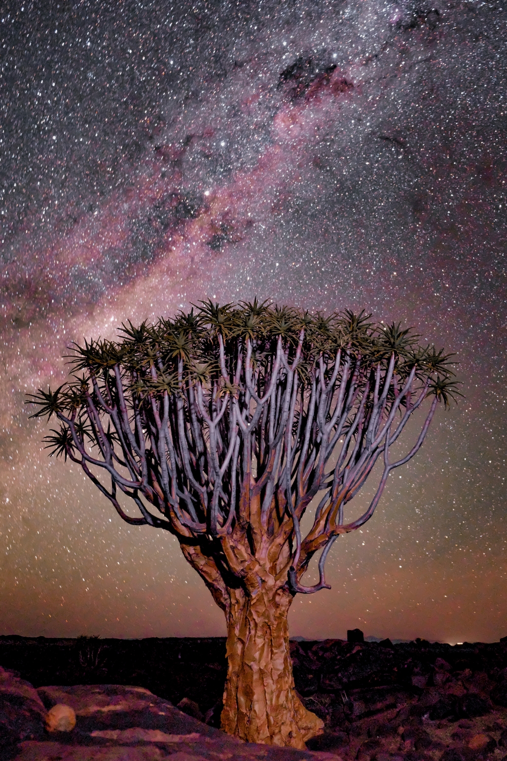 Namibia Fly In Superior Safari