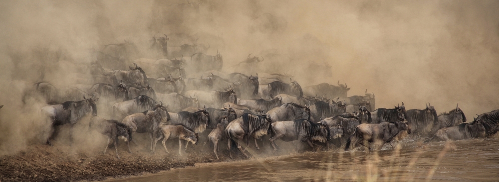 Maasai Mara