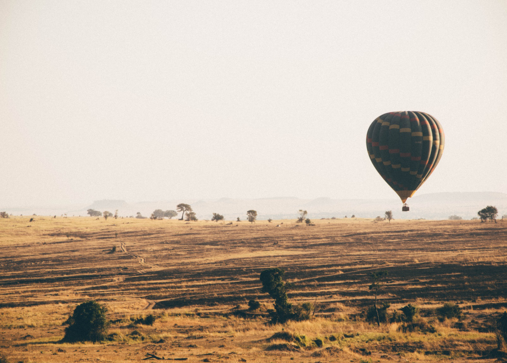 Journey of the Wildebeest 4
