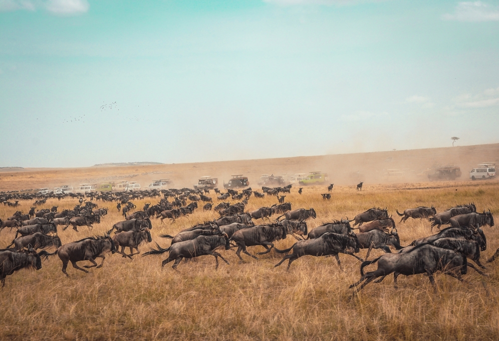 7 Day Safari with Mombasa Extension 3