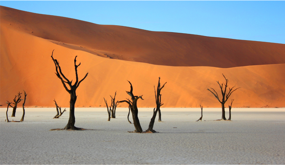 Namibia Fly in Luxury Safari 1