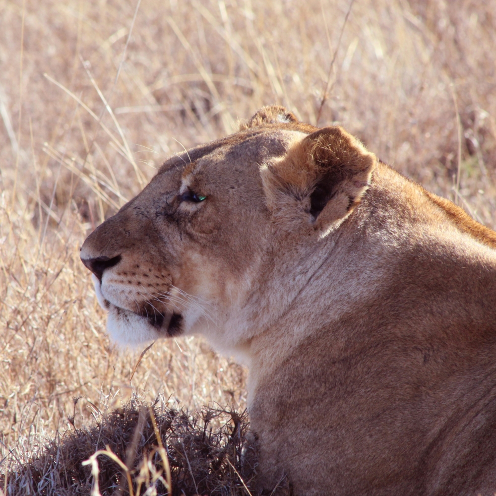 Exploring Kenya 3