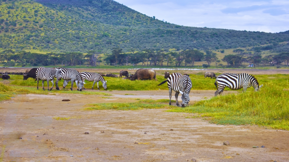 Exploring Kenya 4