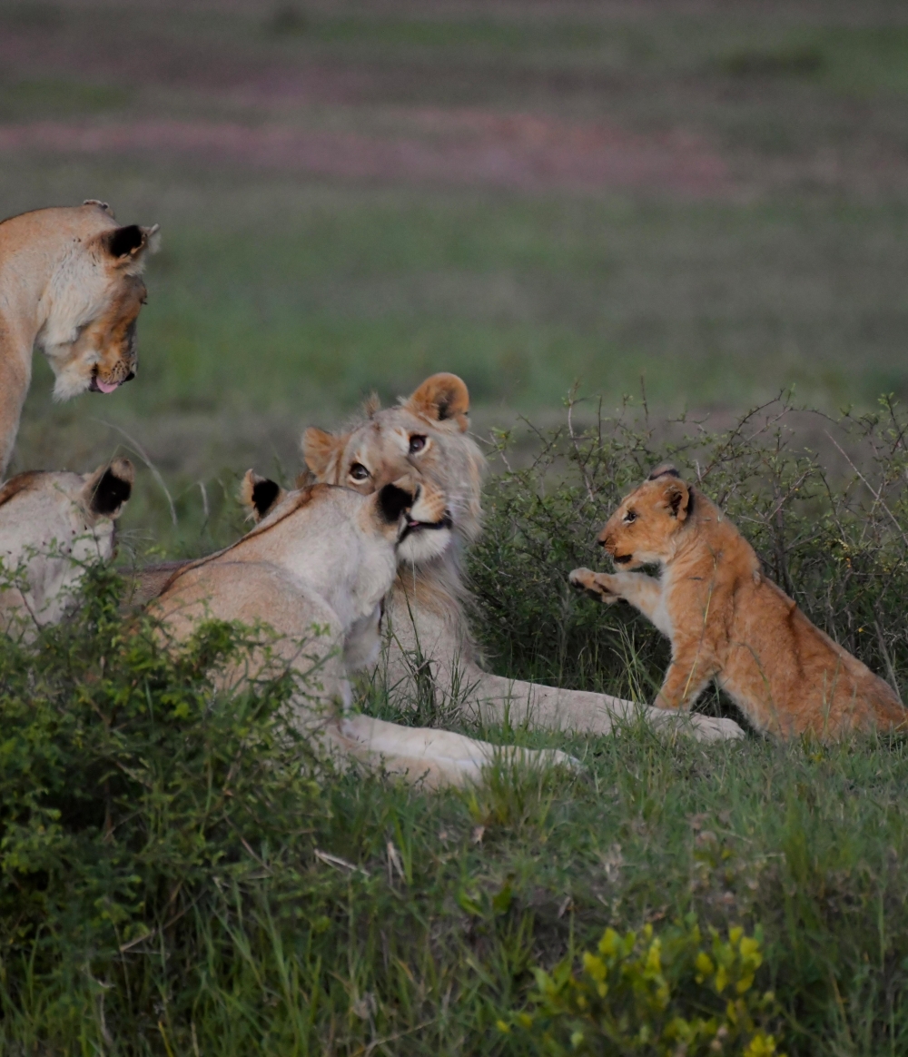 Exploring Kenya 6