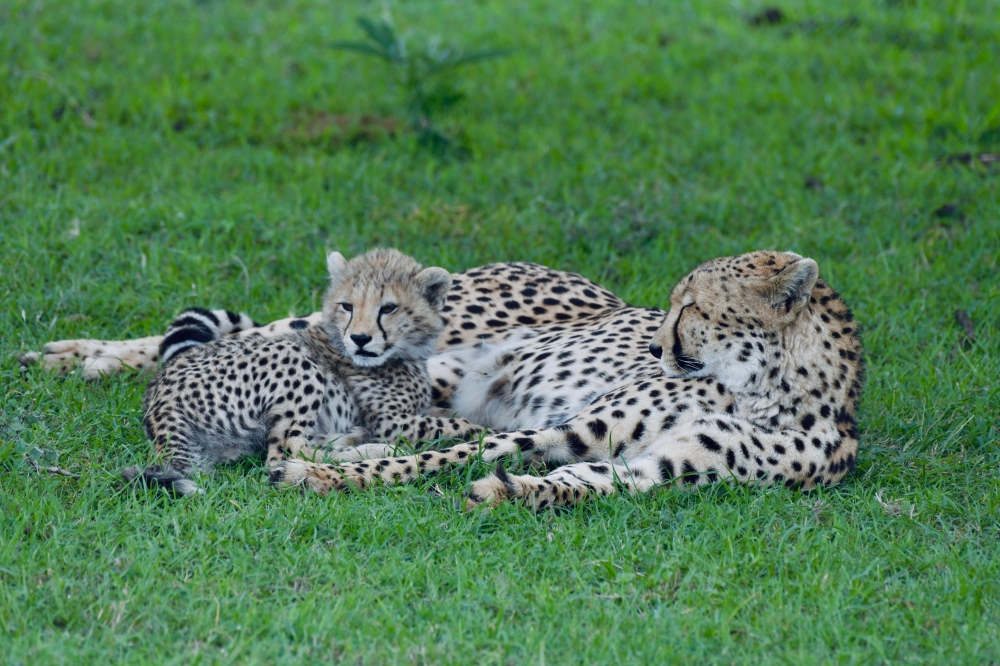 Exploring Kenya 7