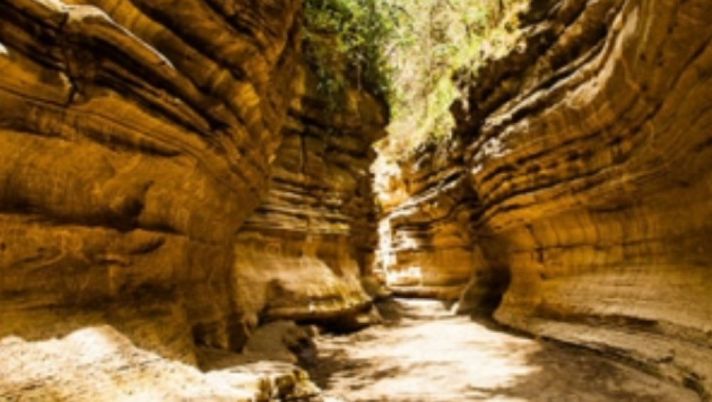 8 Day Safari with Mombasa Extension 5
